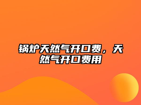 鍋爐天然氣開口費，天然氣開口費用