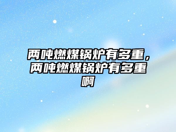 兩噸燃煤鍋爐有多重，兩噸燃煤鍋爐有多重啊