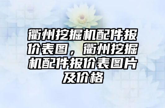衢州挖掘機(jī)配件報價表圖，衢州挖掘機(jī)配件報價表圖片及價格