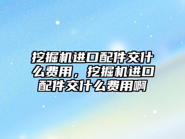 挖掘機(jī)進(jìn)口配件交什么費(fèi)用，挖掘機(jī)進(jìn)口配件交什么費(fèi)用啊