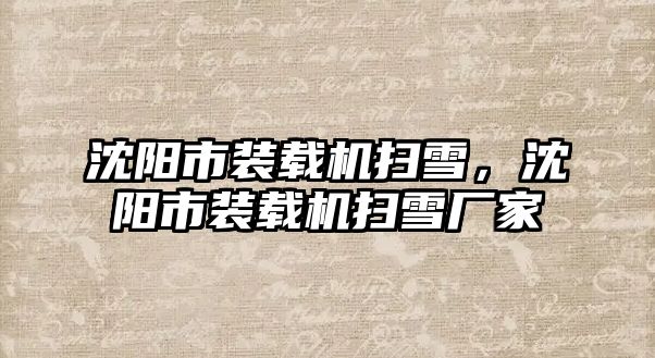 沈陽(yáng)市裝載機(jī)掃雪，沈陽(yáng)市裝載機(jī)掃雪廠家