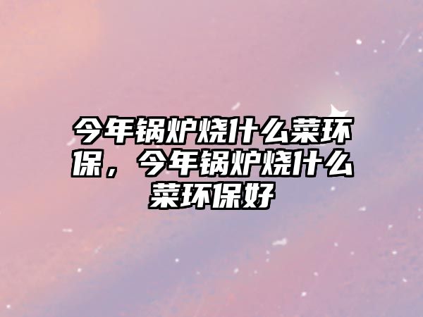 今年鍋爐燒什么菜環(huán)保，今年鍋爐燒什么菜環(huán)保好