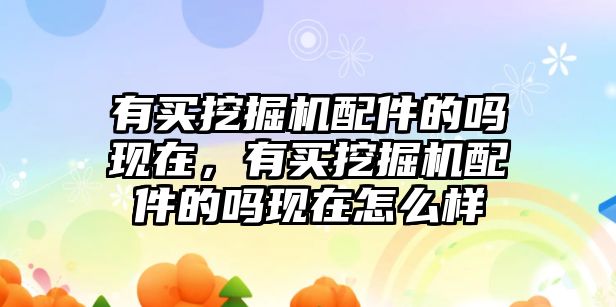 有買挖掘機(jī)配件的嗎現(xiàn)在，有買挖掘機(jī)配件的嗎現(xiàn)在怎么樣
