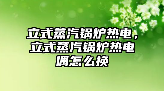 立式蒸汽鍋爐熱電，立式蒸汽鍋爐熱電偶怎么換