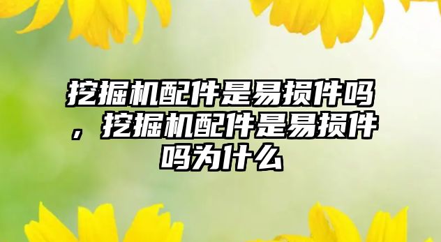 挖掘機(jī)配件是易損件嗎，挖掘機(jī)配件是易損件嗎為什么