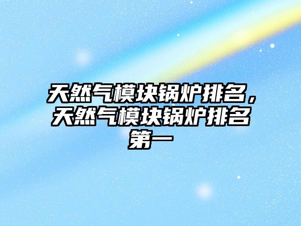 天然氣模塊鍋爐排名，天然氣模塊鍋爐排名第一