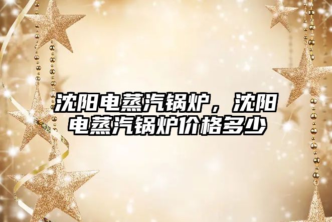 沈陽電蒸汽鍋爐，沈陽電蒸汽鍋爐價(jià)格多少