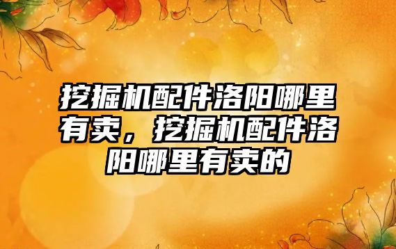 挖掘機(jī)配件洛陽哪里有賣，挖掘機(jī)配件洛陽哪里有賣的