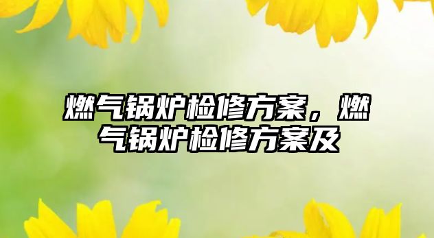 燃?xì)忮仩t檢修方案，燃?xì)忮仩t檢修方案及