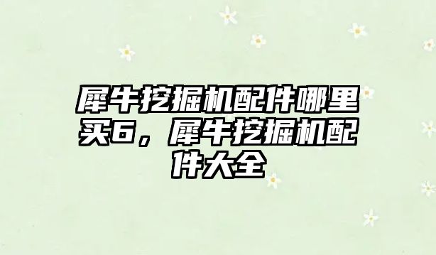 犀牛挖掘機(jī)配件哪里買(mǎi)6，犀牛挖掘機(jī)配件大全