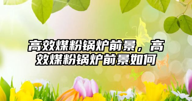 高效煤粉鍋爐前景，高效煤粉鍋爐前景如何