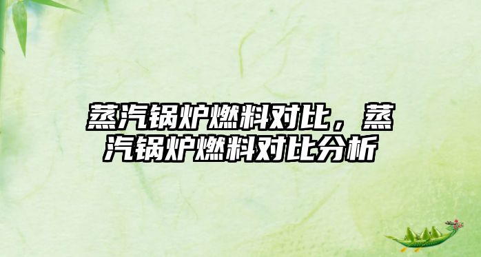 蒸汽鍋爐燃料對比，蒸汽鍋爐燃料對比分析