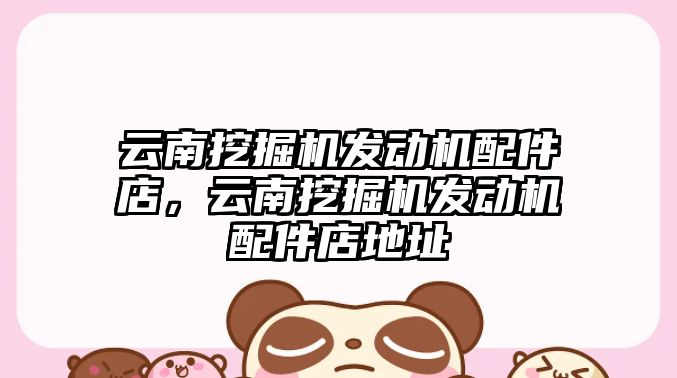云南挖掘機(jī)發(fā)動(dòng)機(jī)配件店，云南挖掘機(jī)發(fā)動(dòng)機(jī)配件店地址