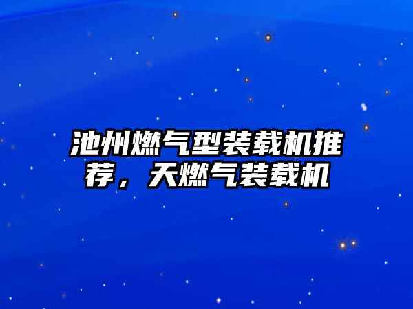 池州燃?xì)庑脱b載機(jī)推薦，天燃?xì)庋b載機(jī)