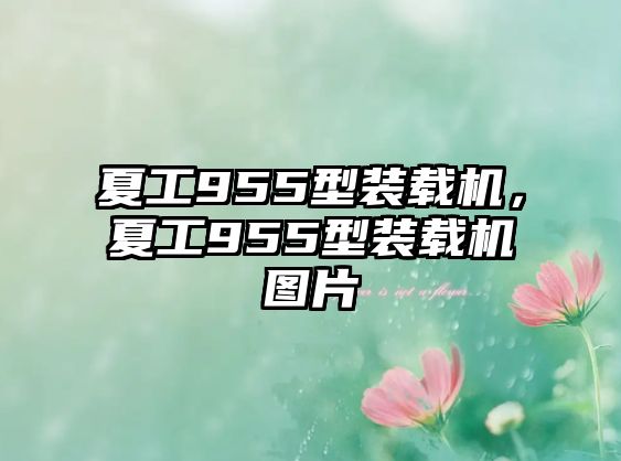 夏工955型裝載機(jī)，夏工955型裝載機(jī)圖片