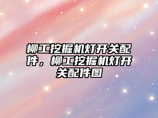 柳工挖掘機(jī)燈開關(guān)配件，柳工挖掘機(jī)燈開關(guān)配件圖