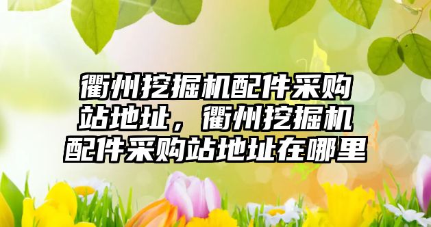 衢州挖掘機(jī)配件采購(gòu)站地址，衢州挖掘機(jī)配件采購(gòu)站地址在哪里