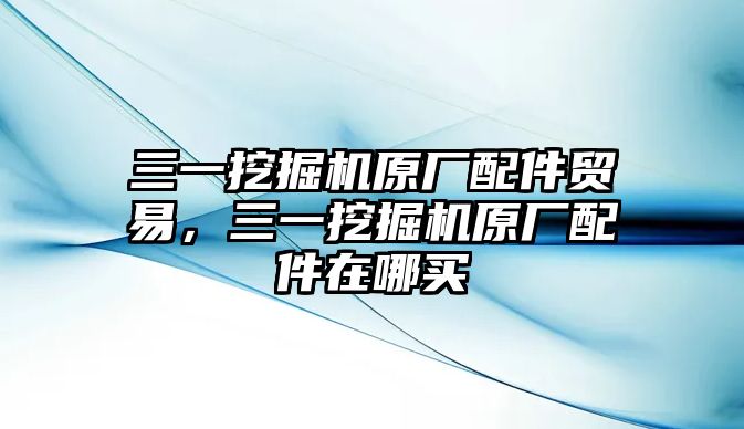 三一挖掘機原廠配件貿(mào)易，三一挖掘機原廠配件在哪買
