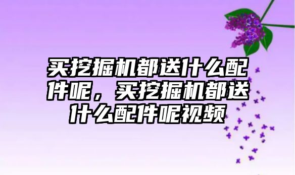 買挖掘機都送什么配件呢，買挖掘機都送什么配件呢視頻