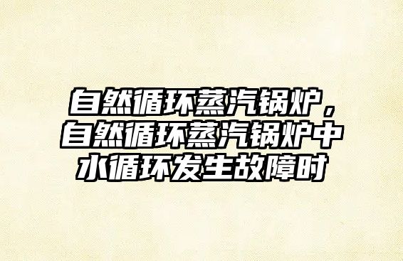 自然循環(huán)蒸汽鍋爐，自然循環(huán)蒸汽鍋爐中水循環(huán)發(fā)生故障時