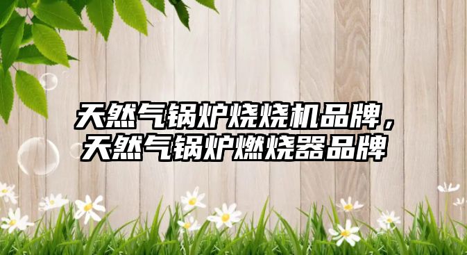 天然氣鍋爐燒燒機(jī)品牌，天然氣鍋爐燃燒器品牌