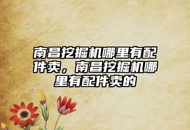 南昌挖掘機哪里有配件賣，南昌挖掘機哪里有配件賣的