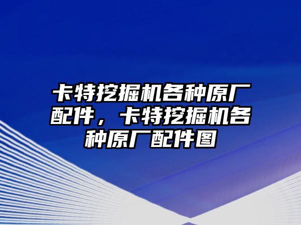 卡特挖掘機(jī)各種原廠配件，卡特挖掘機(jī)各種原廠配件圖
