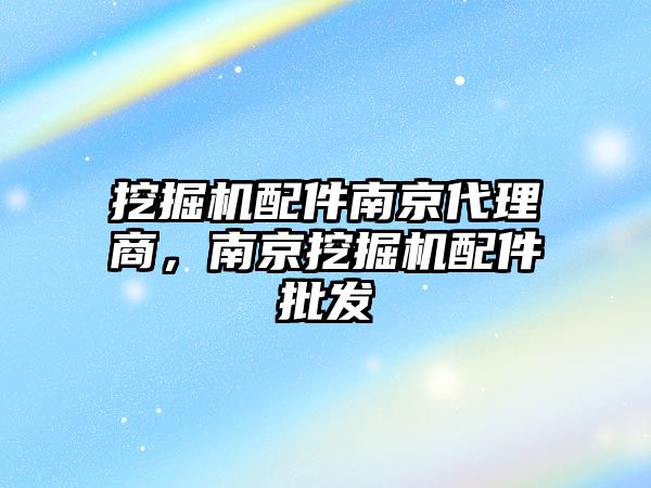 挖掘機配件南京代理商，南京挖掘機配件批發(fā)
