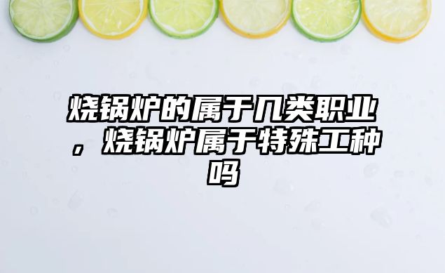 燒鍋爐的屬于幾類職業(yè)，燒鍋爐屬于特殊工種嗎
