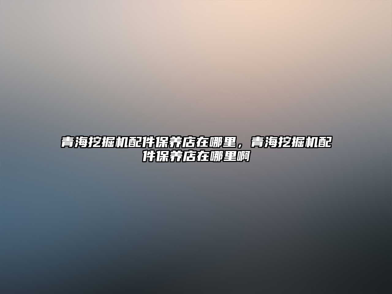 青海挖掘機(jī)配件保養(yǎng)店在哪里，青海挖掘機(jī)配件保養(yǎng)店在哪里啊
