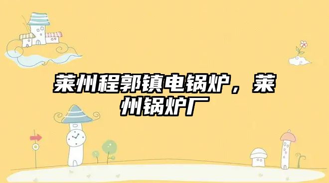 萊州程郭鎮(zhèn)電鍋爐，萊州鍋爐廠