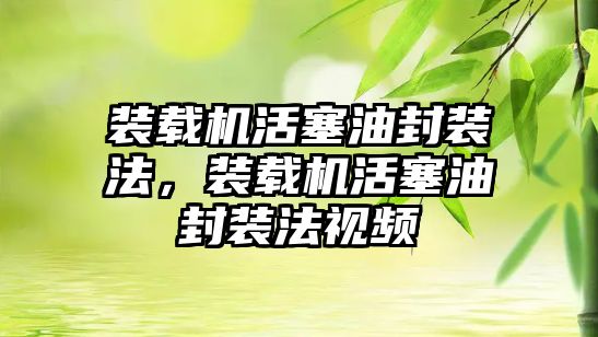 裝載機活塞油封裝法，裝載機活塞油封裝法視頻