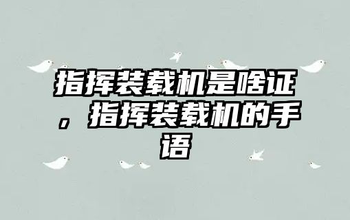 指揮裝載機是啥證，指揮裝載機的手語