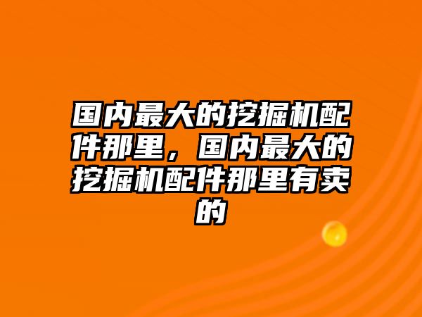 國內(nèi)最大的挖掘機配件那里，國內(nèi)最大的挖掘機配件那里有賣的