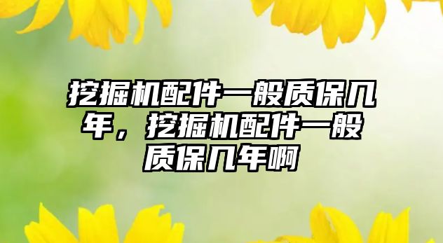 挖掘機(jī)配件一般質(zhì)保幾年，挖掘機(jī)配件一般質(zhì)保幾年啊