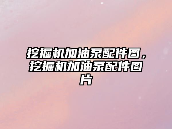挖掘機(jī)加油泵配件圖，挖掘機(jī)加油泵配件圖片