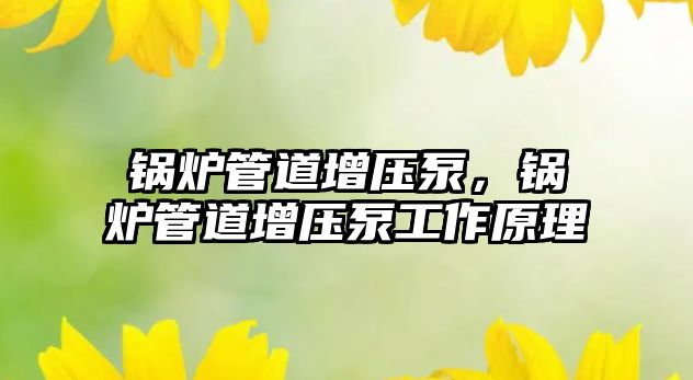 鍋爐管道增壓泵，鍋爐管道增壓泵工作原理