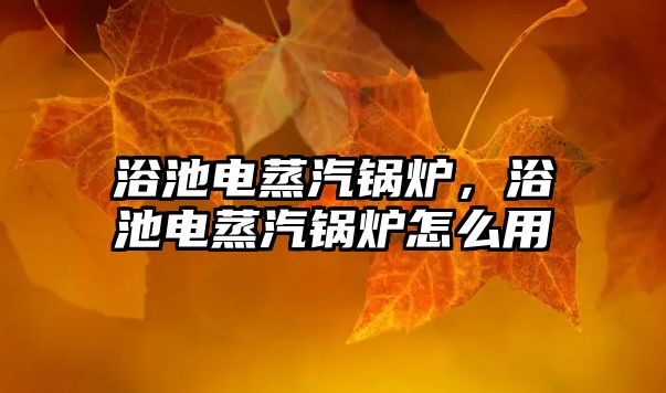 浴池電蒸汽鍋爐，浴池電蒸汽鍋爐怎么用