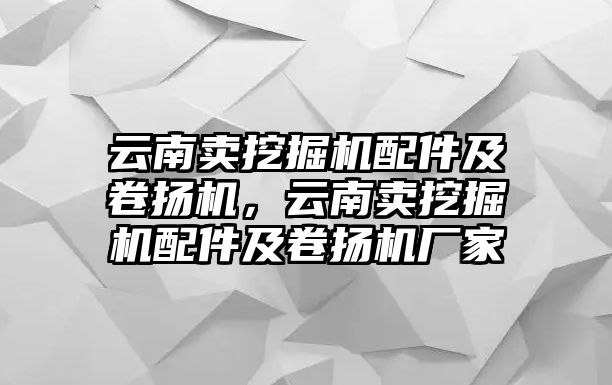 云南賣挖掘機配件及卷揚機，云南賣挖掘機配件及卷揚機廠家