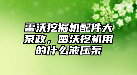 雷沃挖掘機(jī)配件大泵政，雷沃挖機(jī)用的什么液壓泵