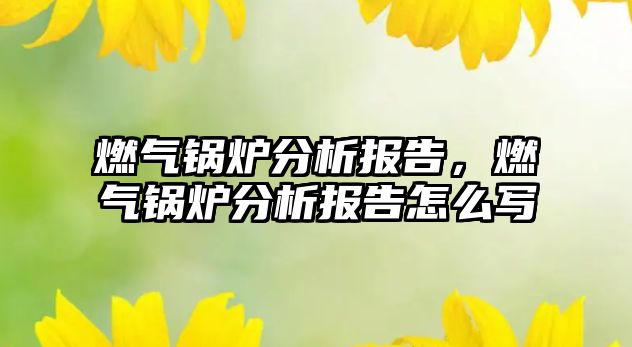 燃?xì)忮仩t分析報(bào)告，燃?xì)忮仩t分析報(bào)告怎么寫