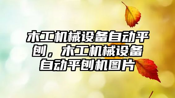 木工機(jī)械設(shè)備自動(dòng)平刨，木工機(jī)械設(shè)備自動(dòng)平刨機(jī)圖片
