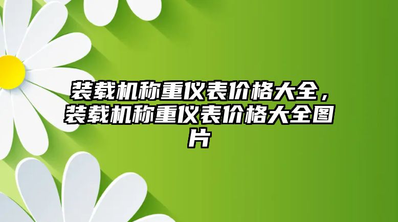 裝載機(jī)稱重儀表價格大全，裝載機(jī)稱重儀表價格大全圖片