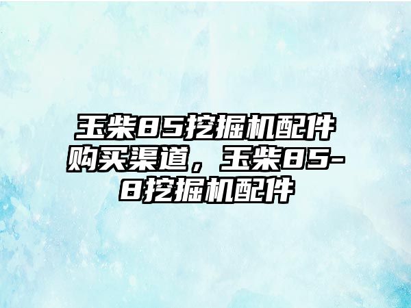 玉柴85挖掘機配件購買渠道，玉柴85-8挖掘機配件