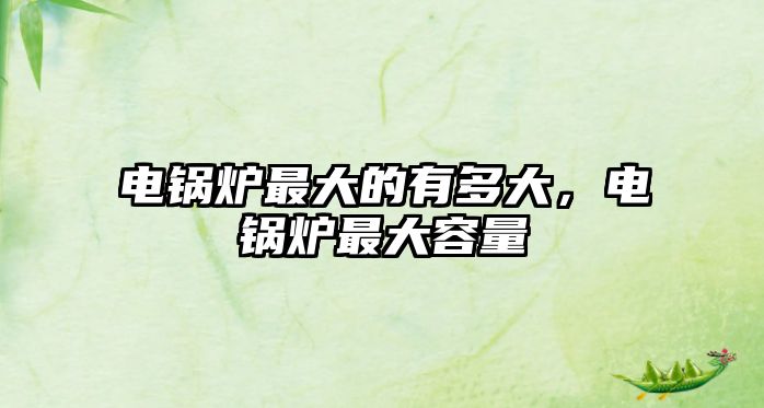 電鍋爐最大的有多大，電鍋爐最大容量