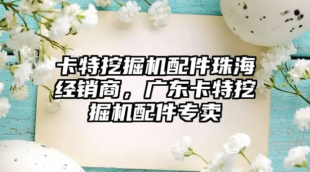 卡特挖掘機(jī)配件珠海經(jīng)銷商，廣東卡特挖掘機(jī)配件專賣
