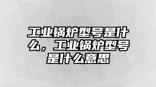 工業(yè)鍋爐型號(hào)是什么，工業(yè)鍋爐型號(hào)是什么意思