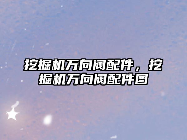挖掘機(jī)萬向閥配件，挖掘機(jī)萬向閥配件圖