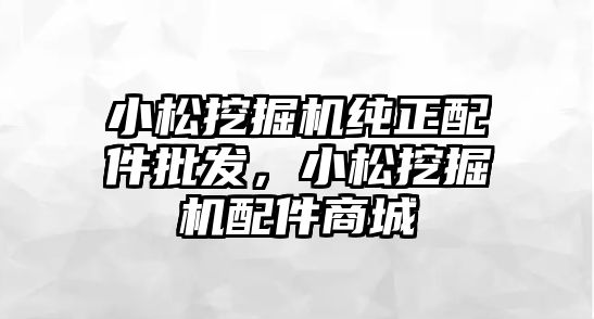 小松挖掘機純正配件批發(fā)，小松挖掘機配件商城