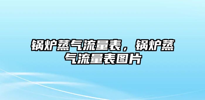 鍋爐蒸氣流量表，鍋爐蒸氣流量表圖片